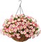 Silk Flower Hanging Basket: Lifelike Artificial Flowers in Coconut Lined Pot